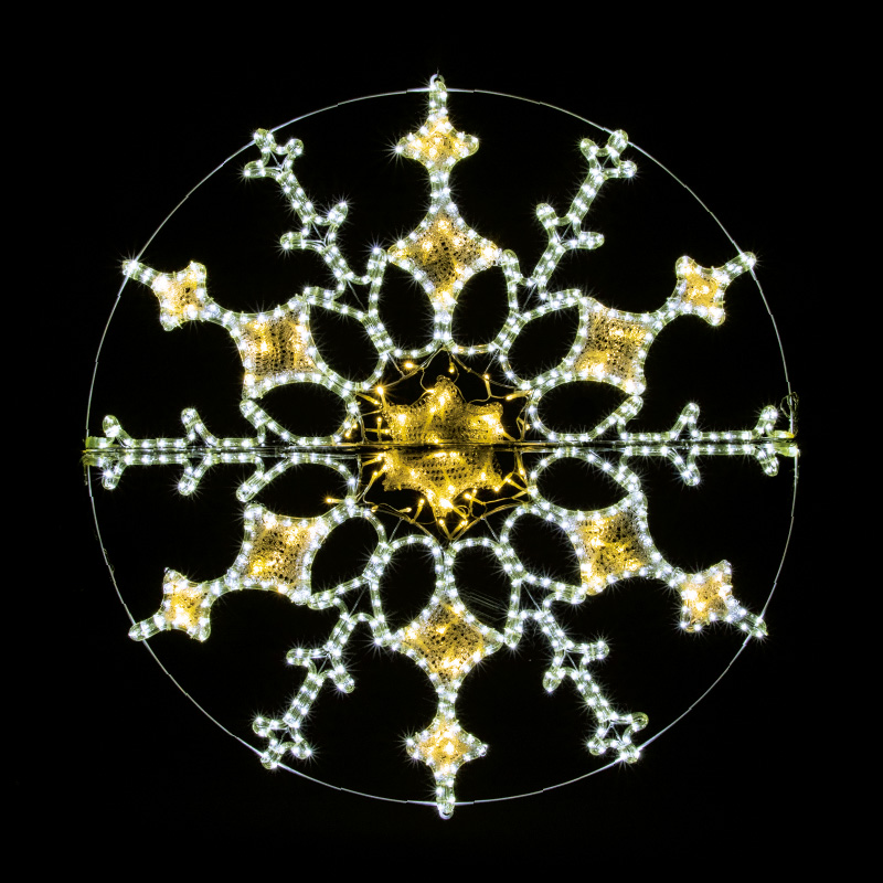 2Dモチーフ グランデ スノー（2PIN）