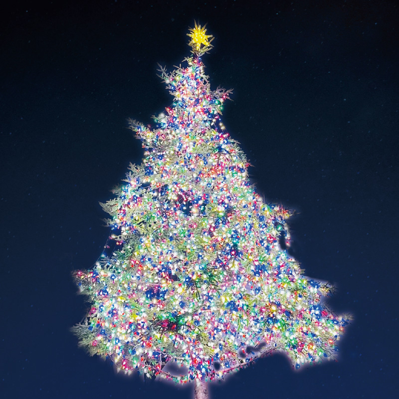 LEDシーナイン（2PIN）