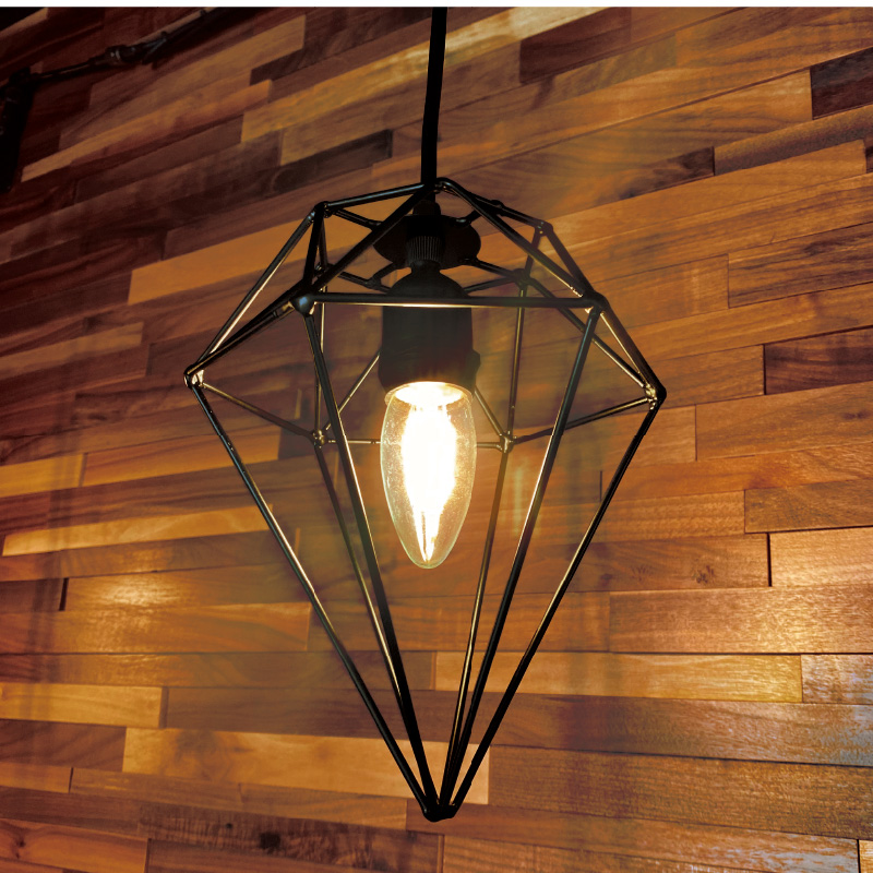 アウトドアペンダント（2PIN）