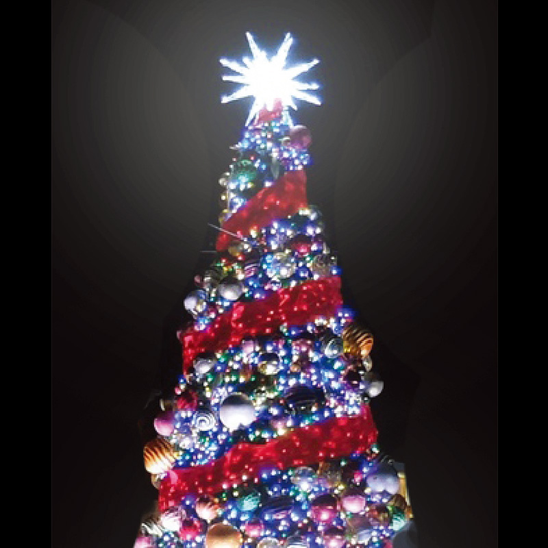 フレームモラビアン（2PIN）